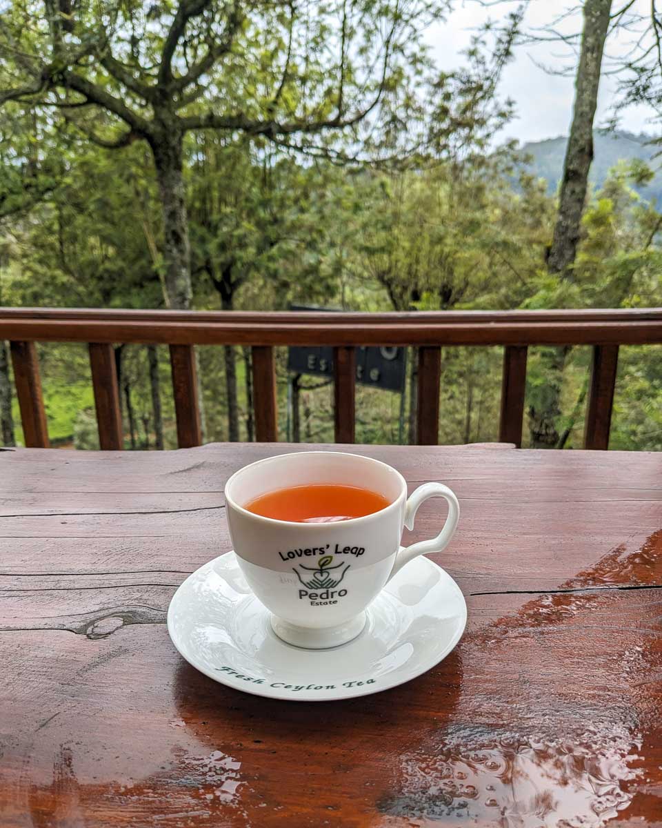 A cup of tea overlooking the tea fields at Pedro estate in Nuwara Eliya