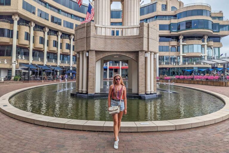 Bailey at Washington Harbor in Georgetown DC