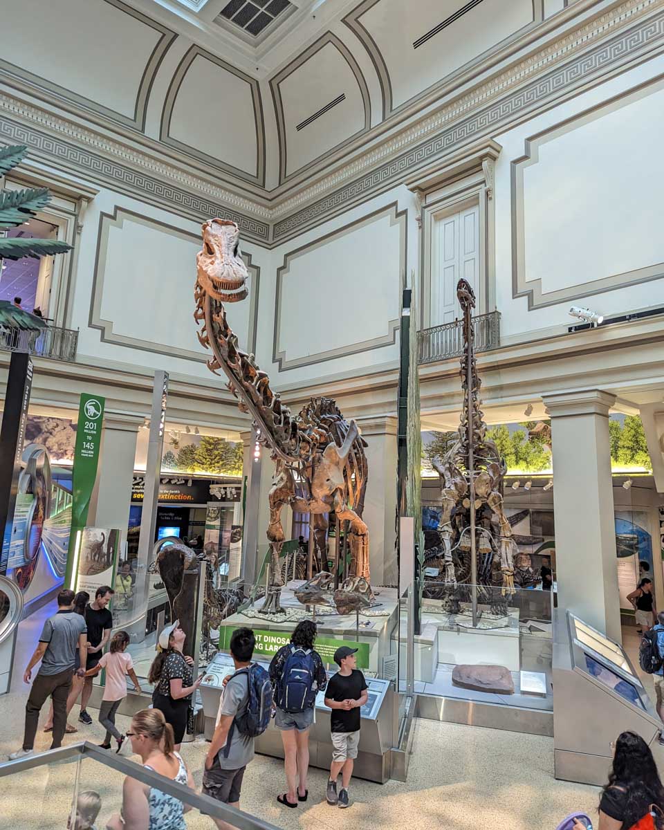 Dinosaur at the Smithsonian National Museum of Natural History in Washington DC