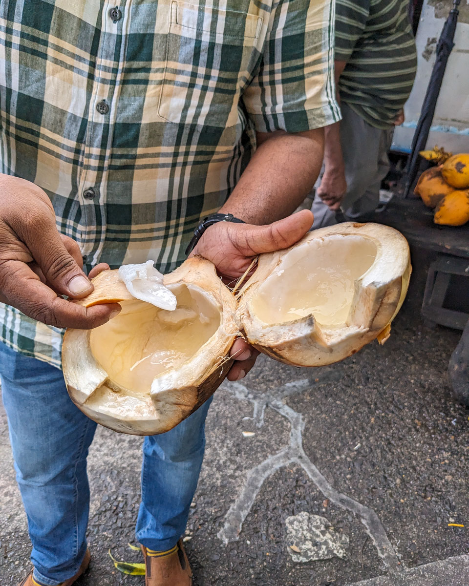 Our guide shows us how to eat the meat of the King Coconut using the shell as a spoon Colombo, Sri Lanka