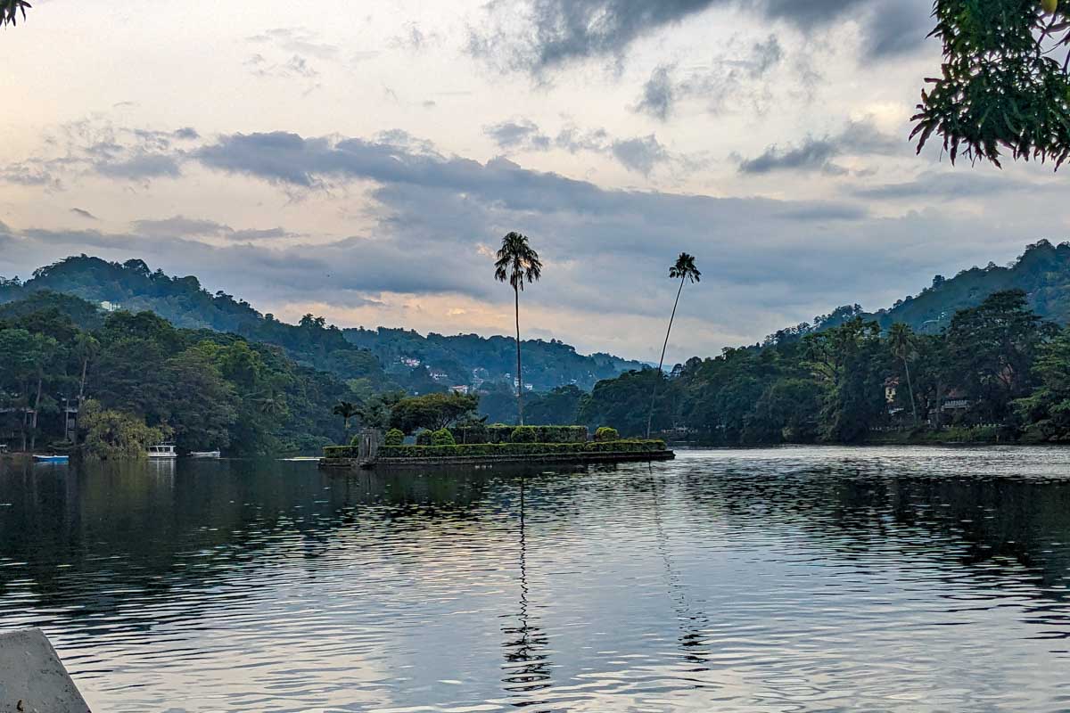 Palm trees around Kandy Lake in Sri Lanka