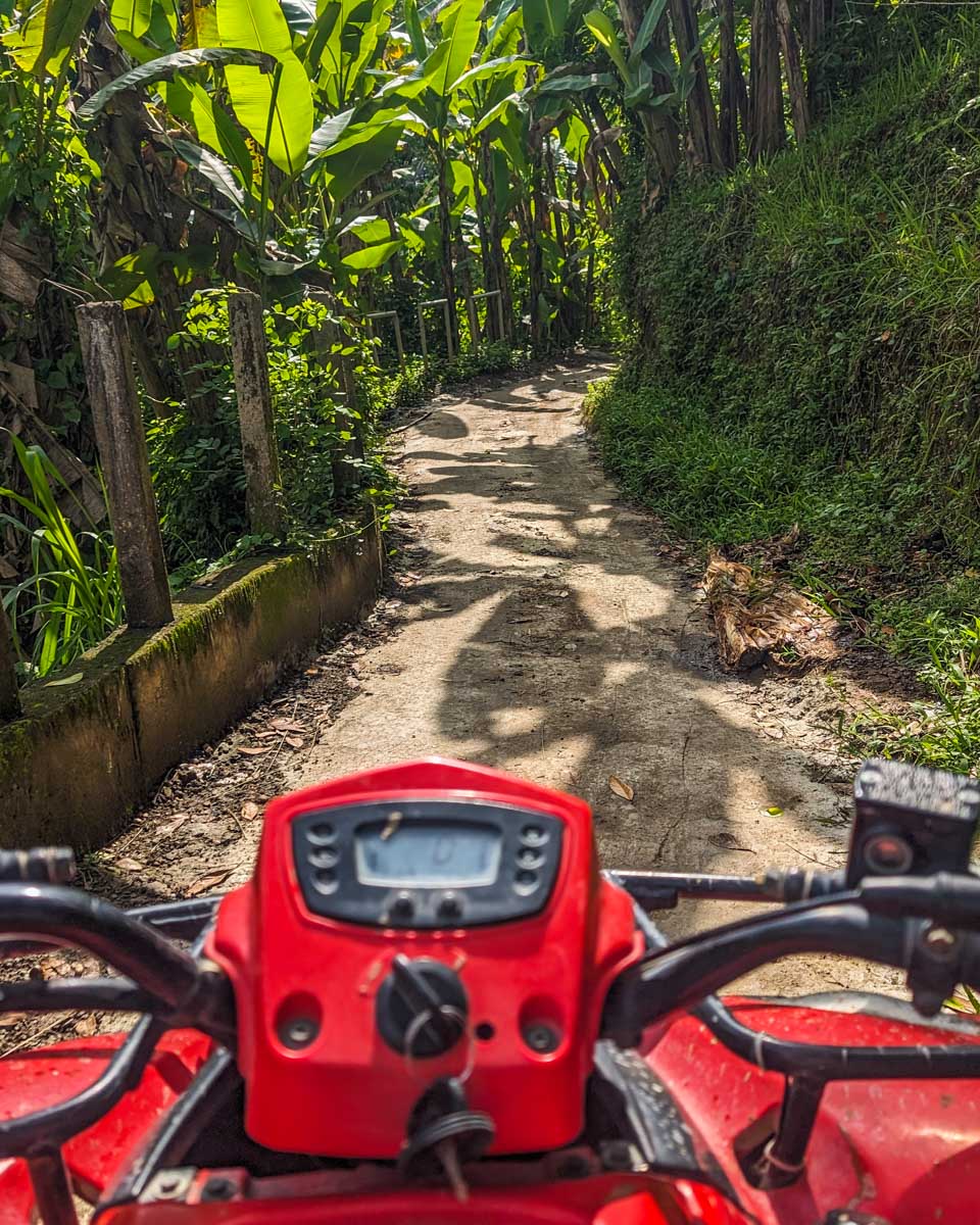 View from the ATV while ATVing in Fiji