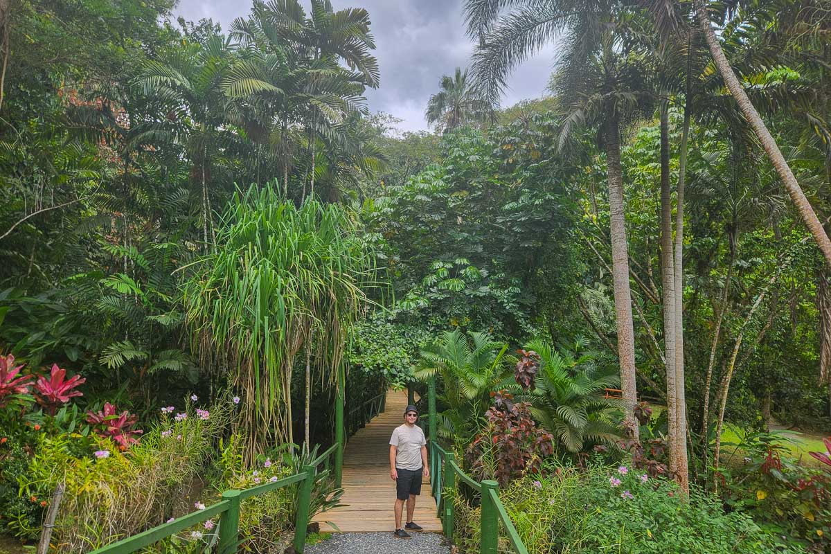 A man poses for a picture surrounded by large plants at the garden of the sleeping giant fiji