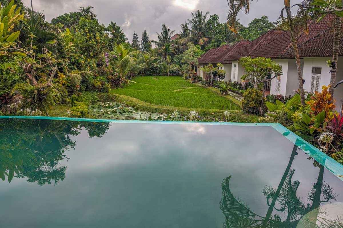 Abipraya hotel in Bali with views of the pool and the rice fields