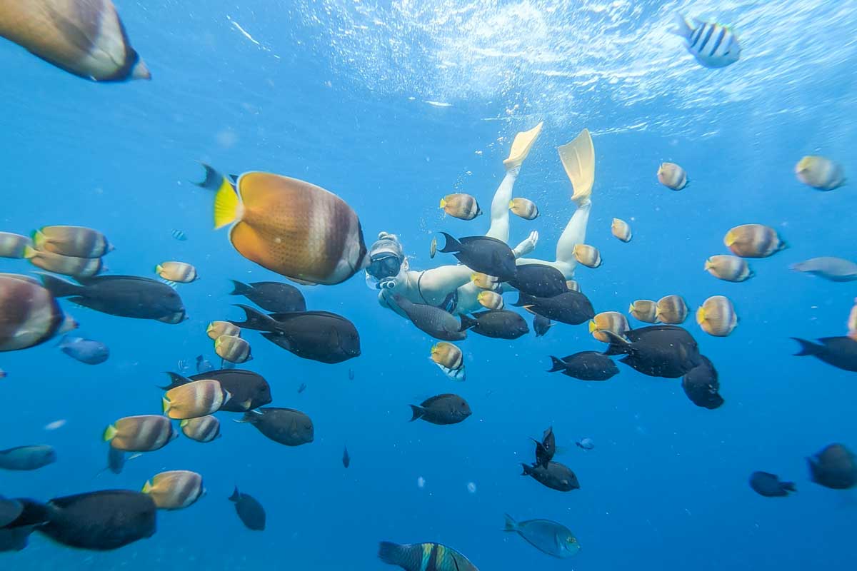 Bailey snorkeling at Blue Lagoon while surrounded by colorful fish