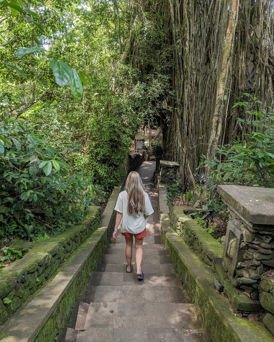 Bailey walks down a path in the jungle of Ubud Monkey Forest Bali