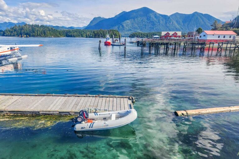 The BEST Tours to Tofino from Vancouver