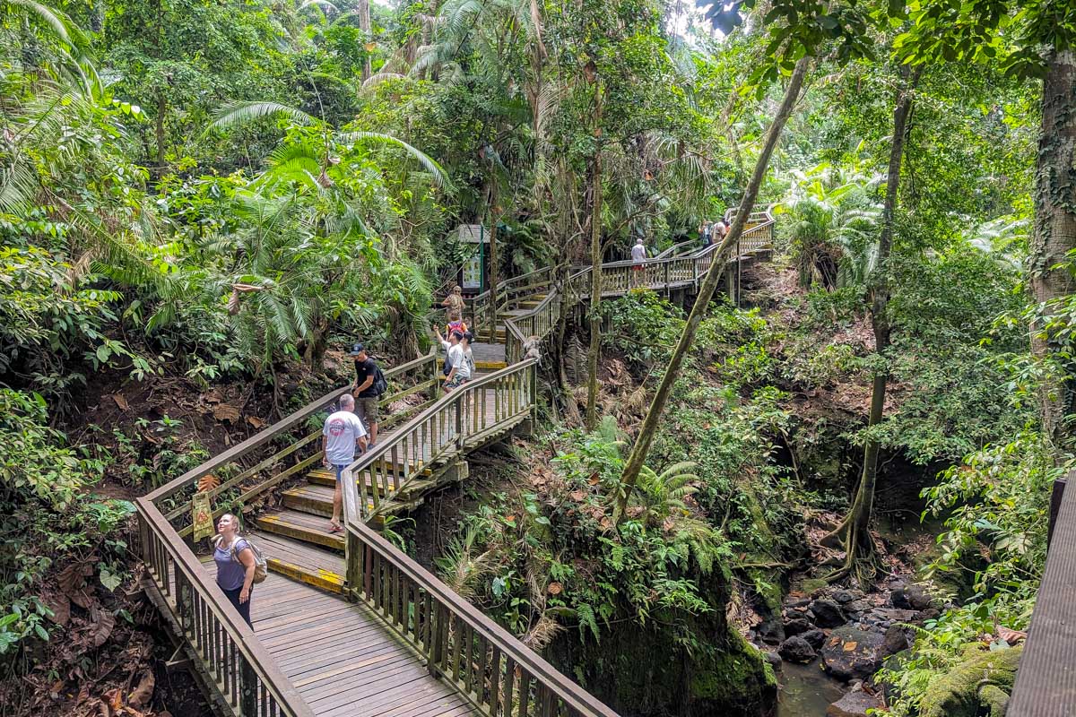 People walk through the jungle of Ubud Monkey Forest in Bali