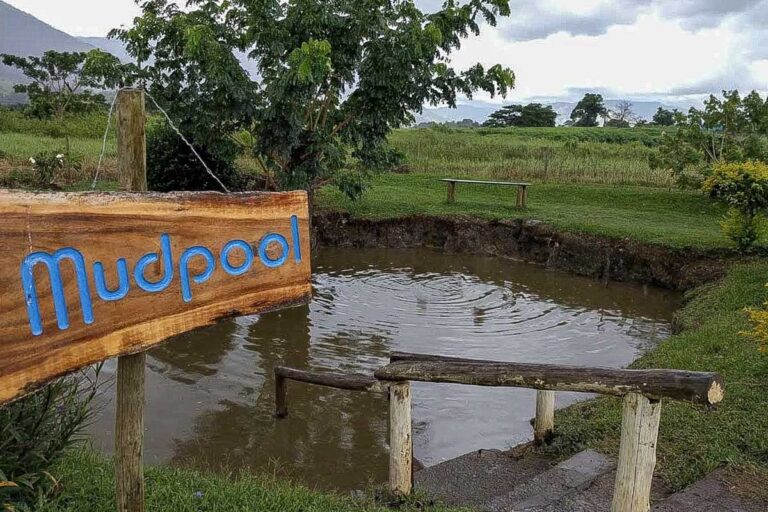 Sabeto Hot Spring Mud Pool 4