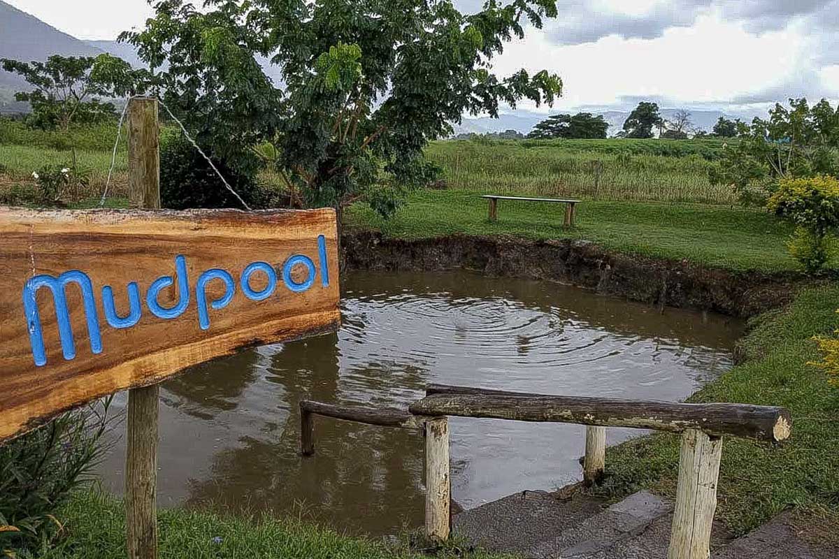 Sabeto Hot Spring Mud Pool 4