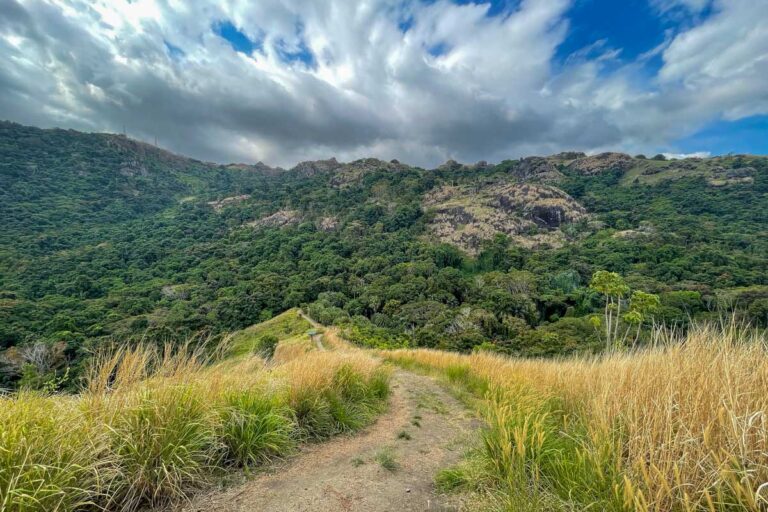 The path leading into the hills at the garden of the sleeping giant fiji