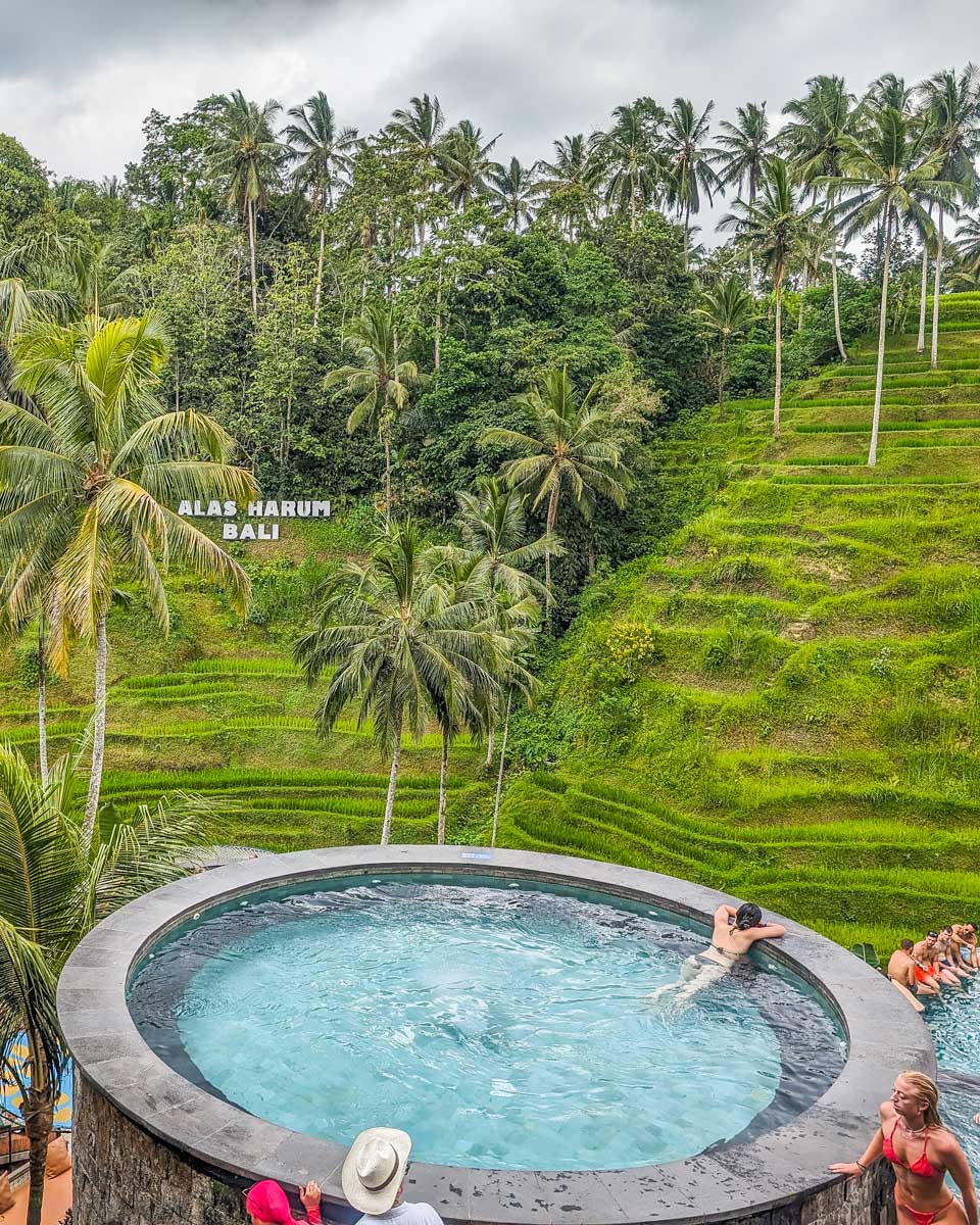 Views of the pool and rice fields from Cretya Ubud in Bali