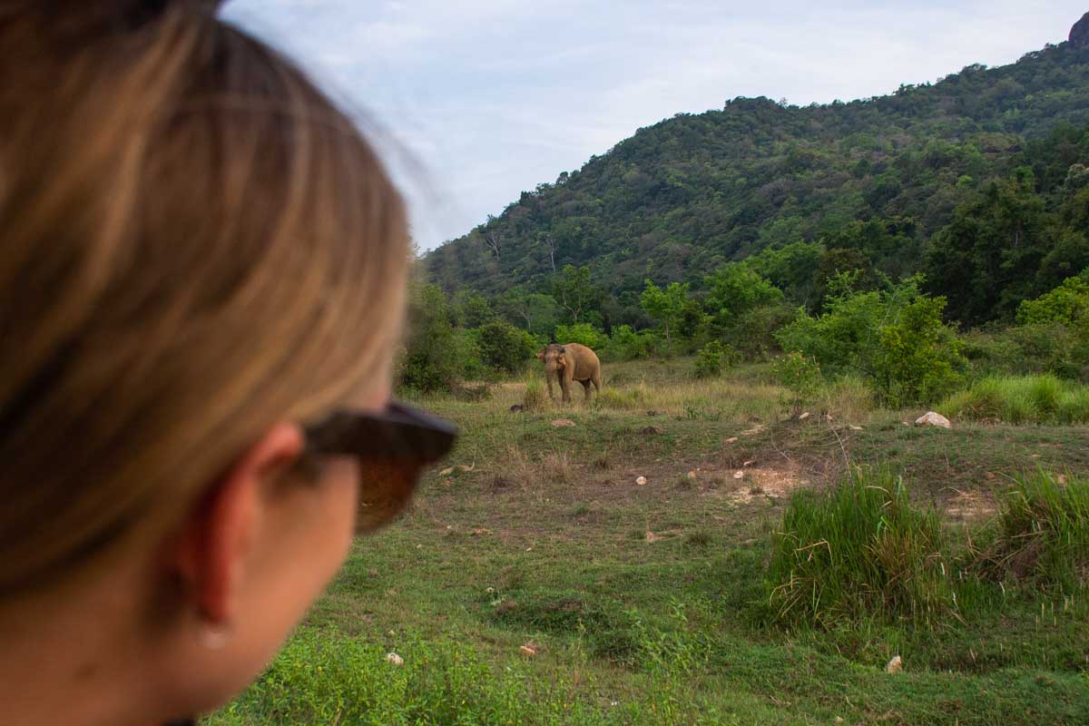 bailey looks at en elephant in Maduru Oya National Park, Sri Lanka