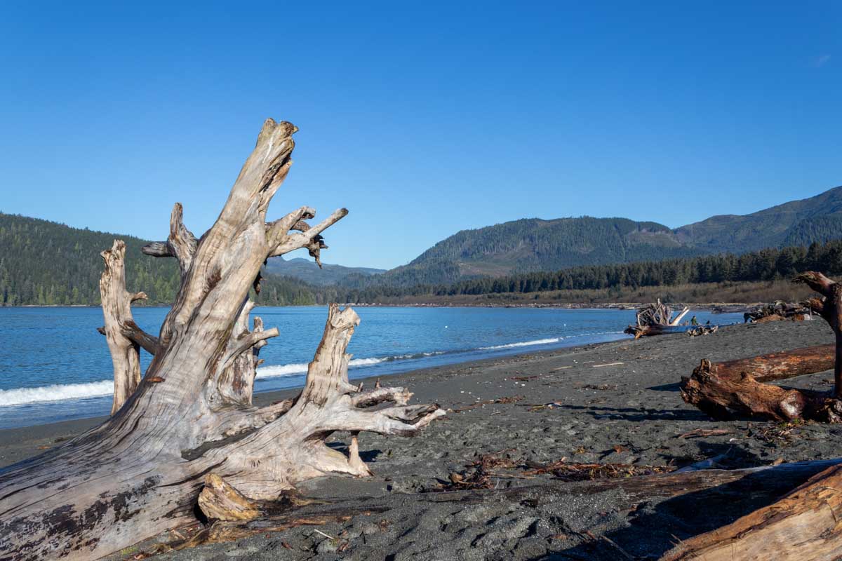 beach in Port Renfrew on vancouver Island, canada