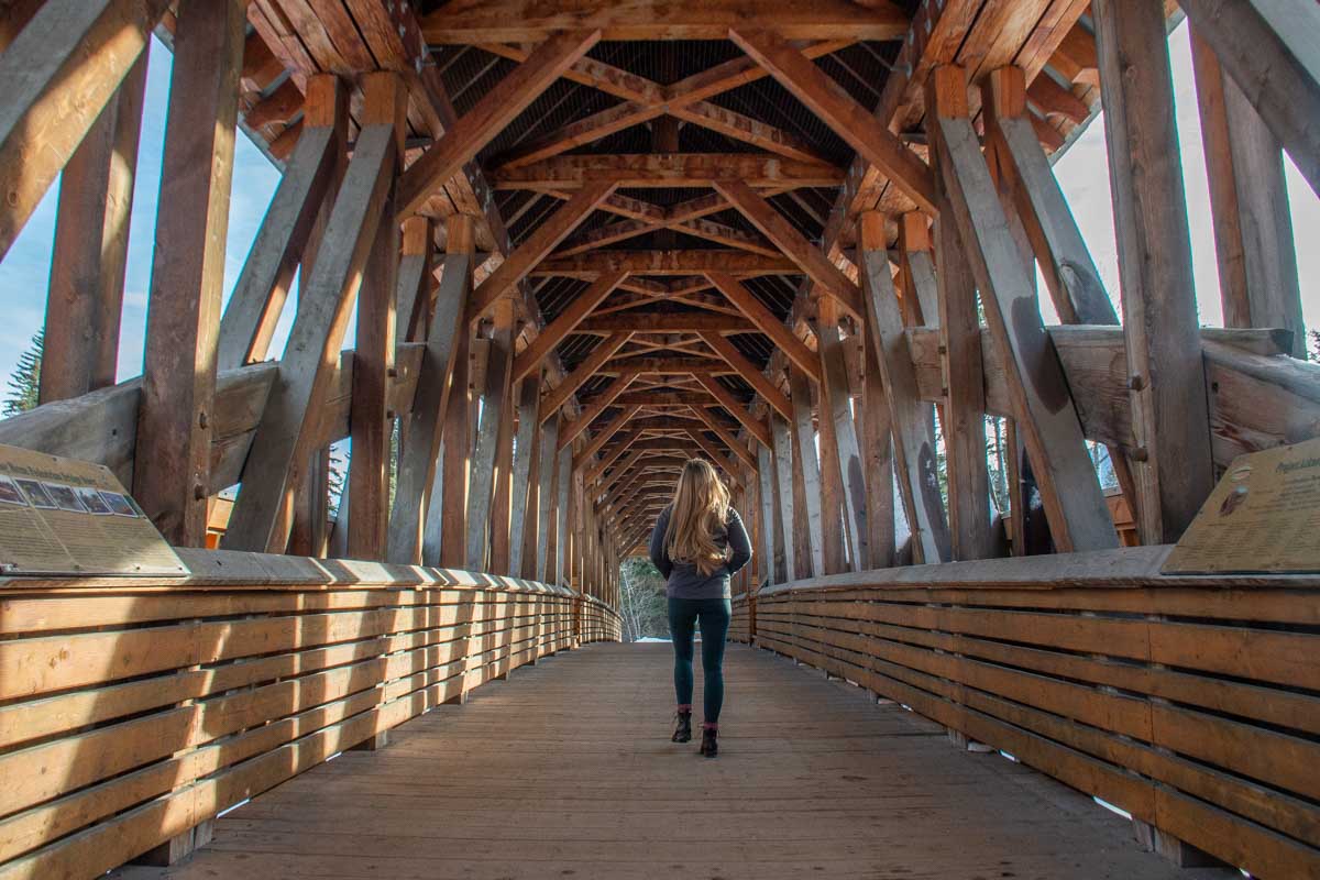 Bailey crosses a bridge along the Rotary Trail in Golden