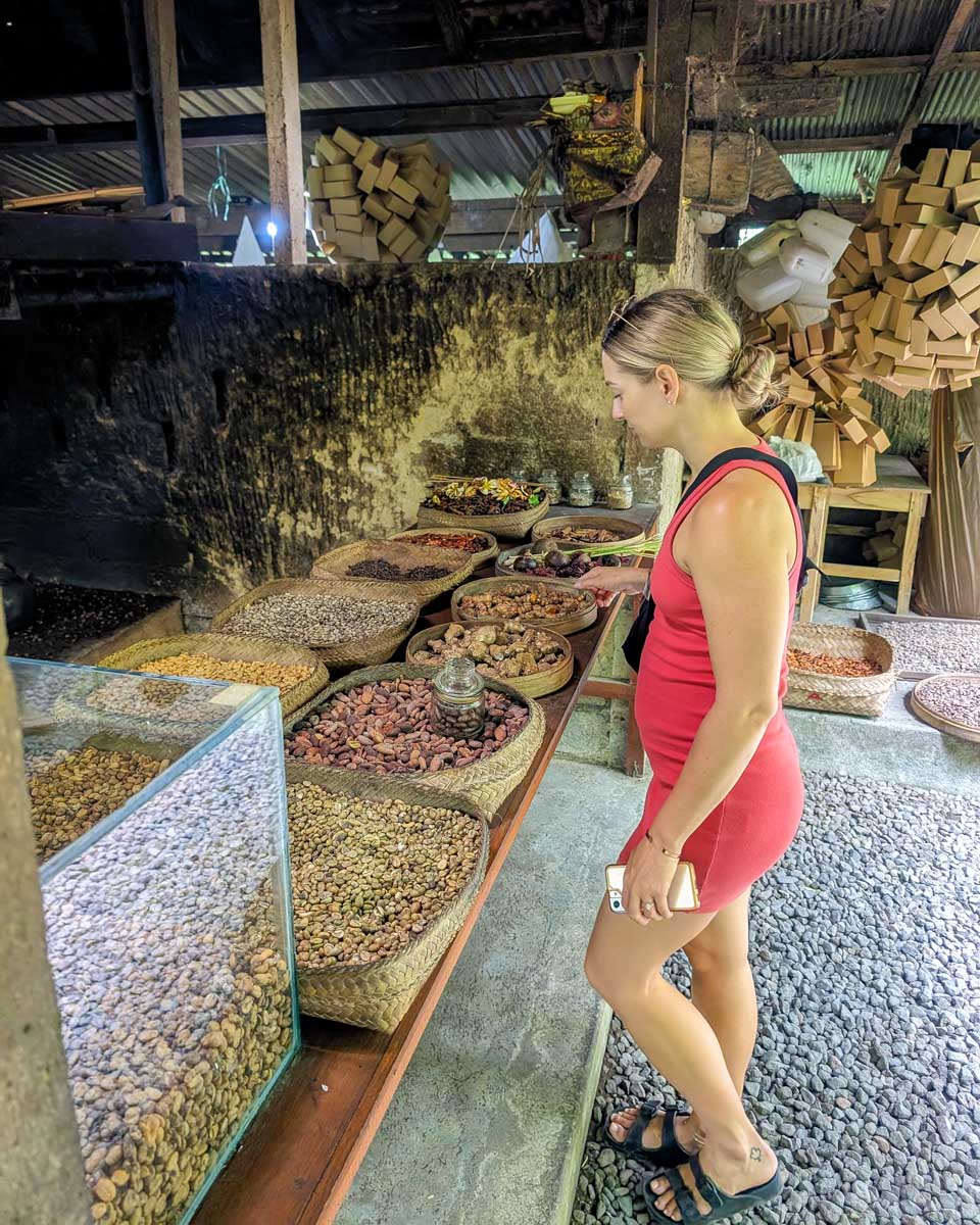 Bailey looks at coffee beans at uma pakel plantation on the instagram tour bali