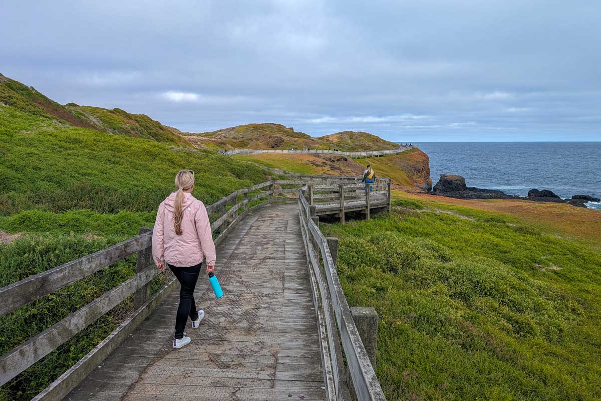 Bailey walks on a boardwalk at the nobbies on phillip island with the ocean in the background during a go west penguin tour to phillip island near mebourne australia