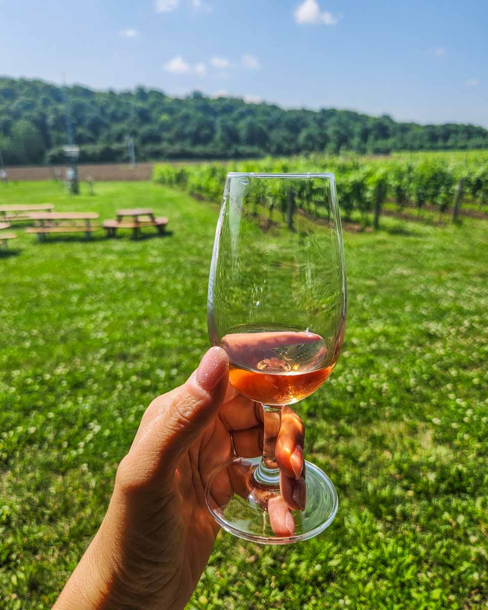 A glass of wine we tasted on a wine tour in Toronto