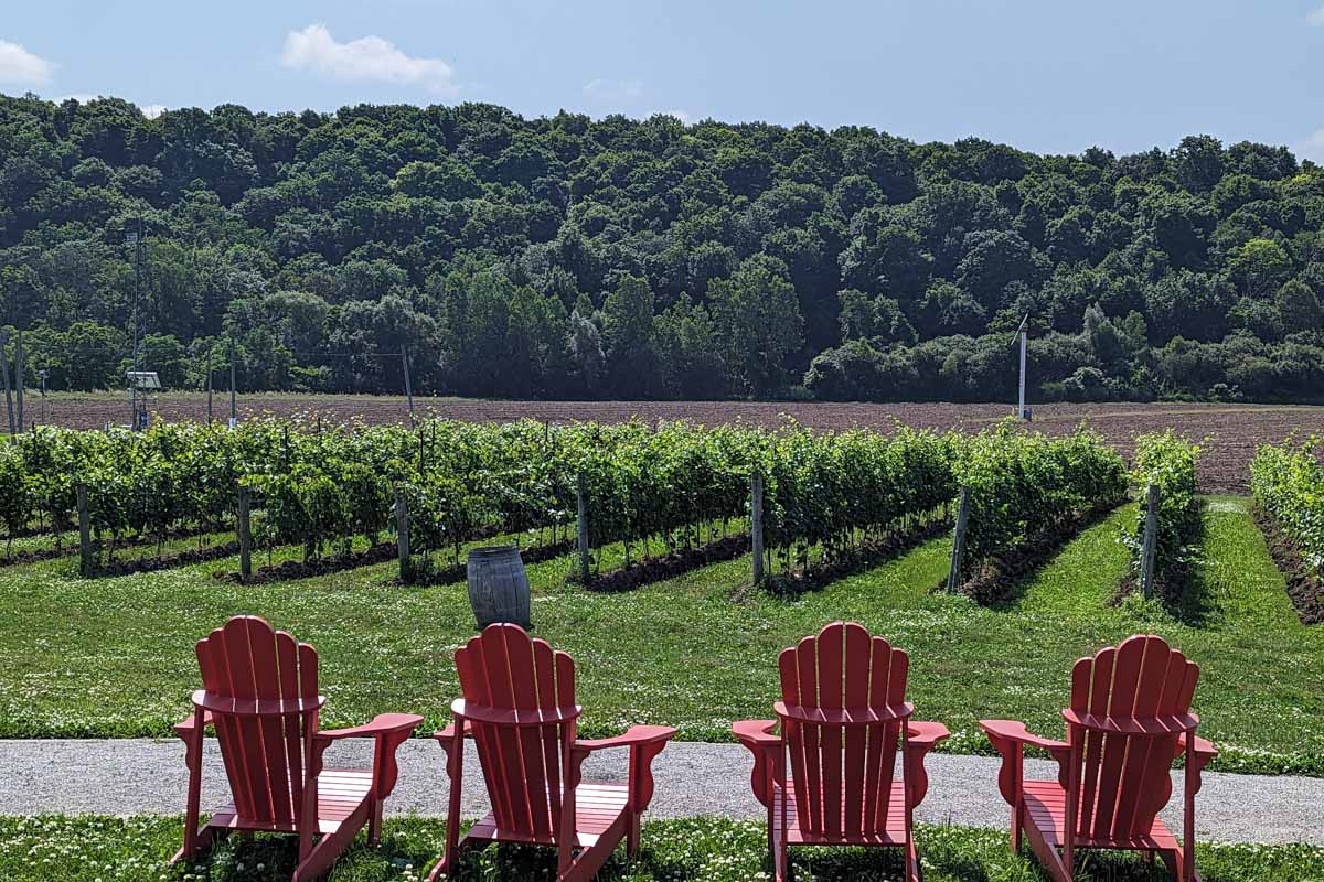 Red chairs at a winery near Toronto, Canada