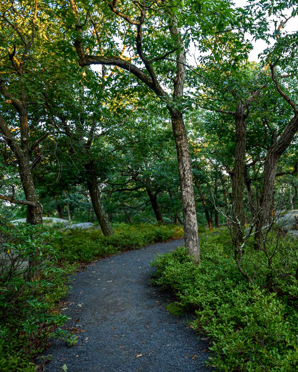 A hiking trail in Bear Mountain State Park New York