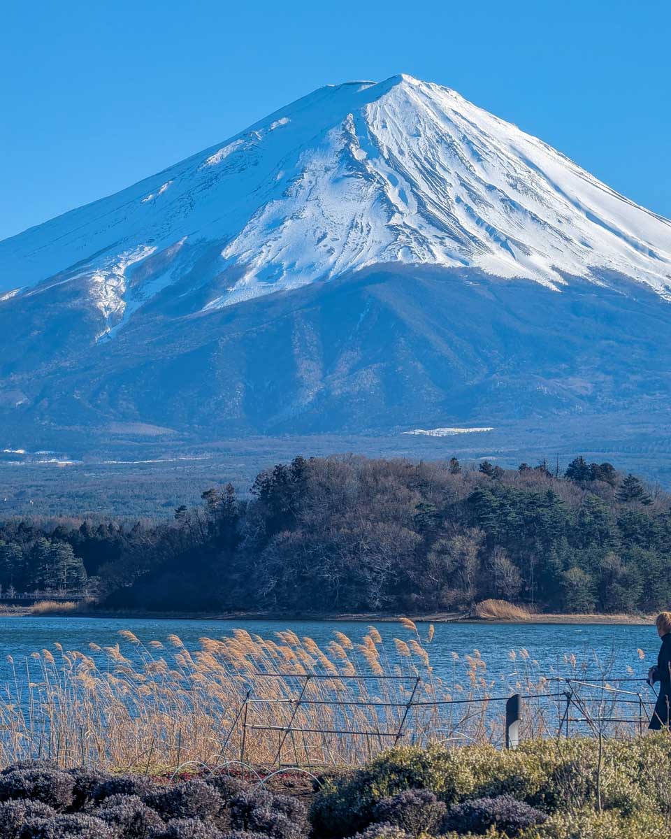 A man walks with a view of Mount Kilimanjaro on a klook tour in Japan