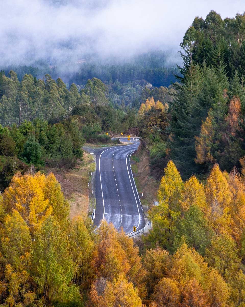 A-road-during-autumn-new-zealand