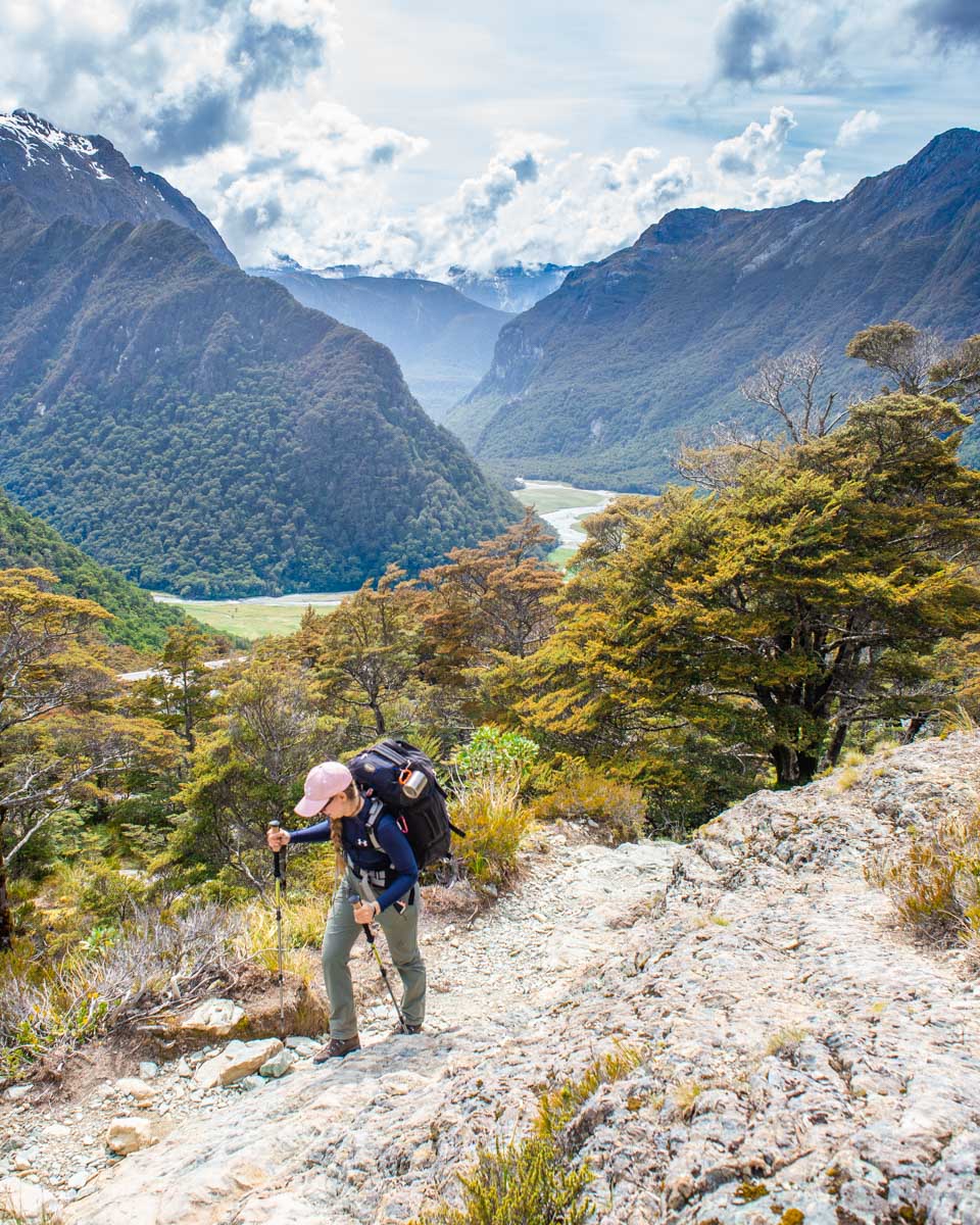 Bailey-on-the-Routeburn-Track-in-Mt-Aspiring-National-Park-New-Zealand