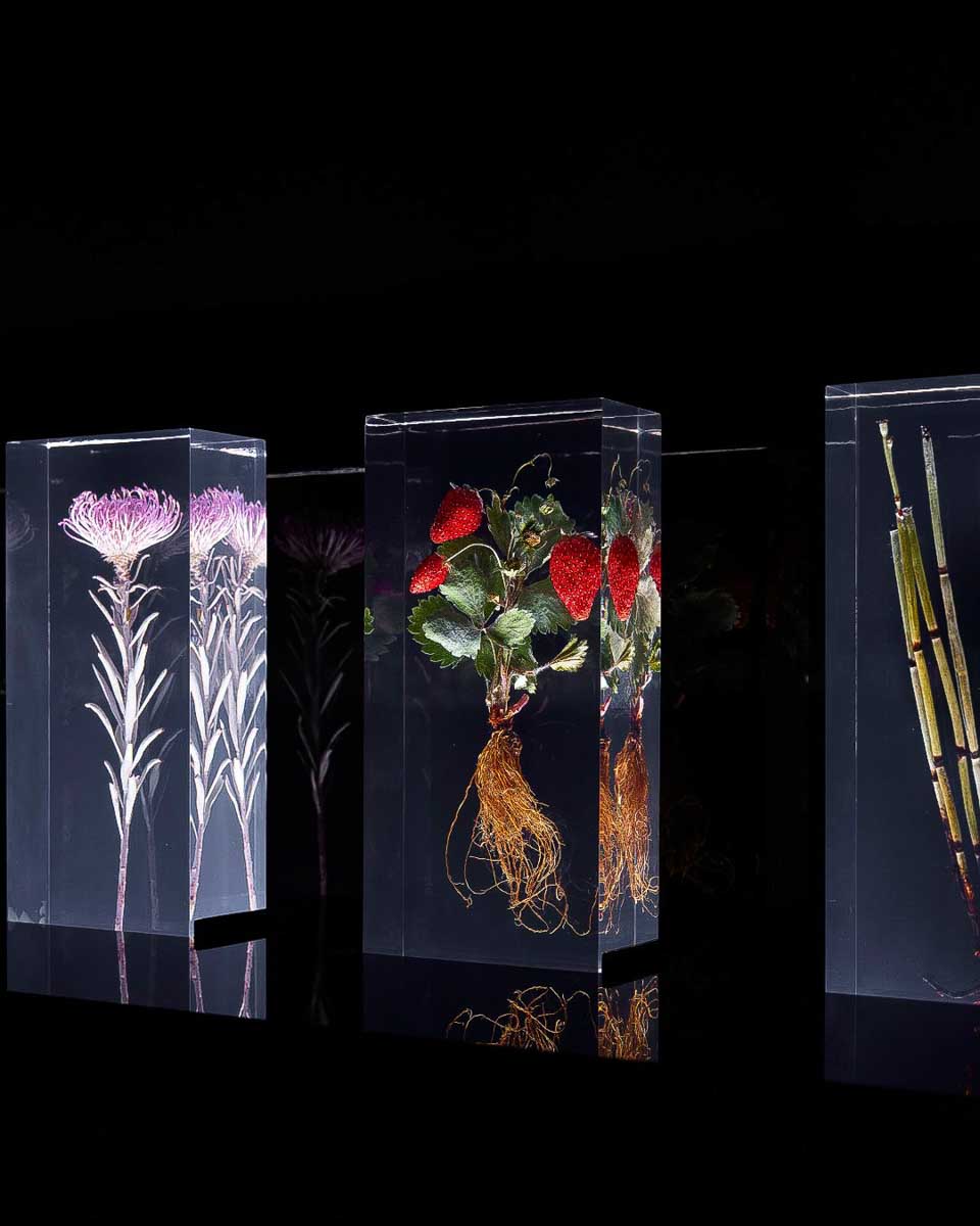 National Gallery of Victoria in Melbourne exhibit