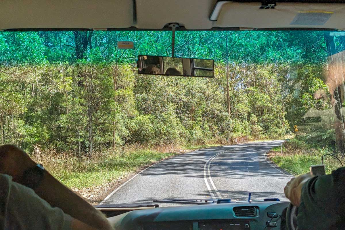 The view from inside a tour bus on the Great Ocean Road
