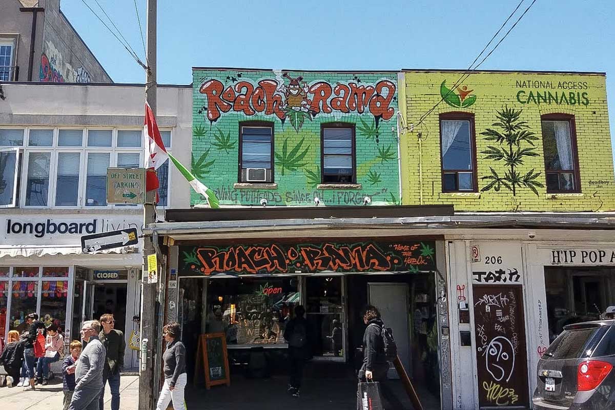 Roach Rama in Kensington Market Toronto Canada