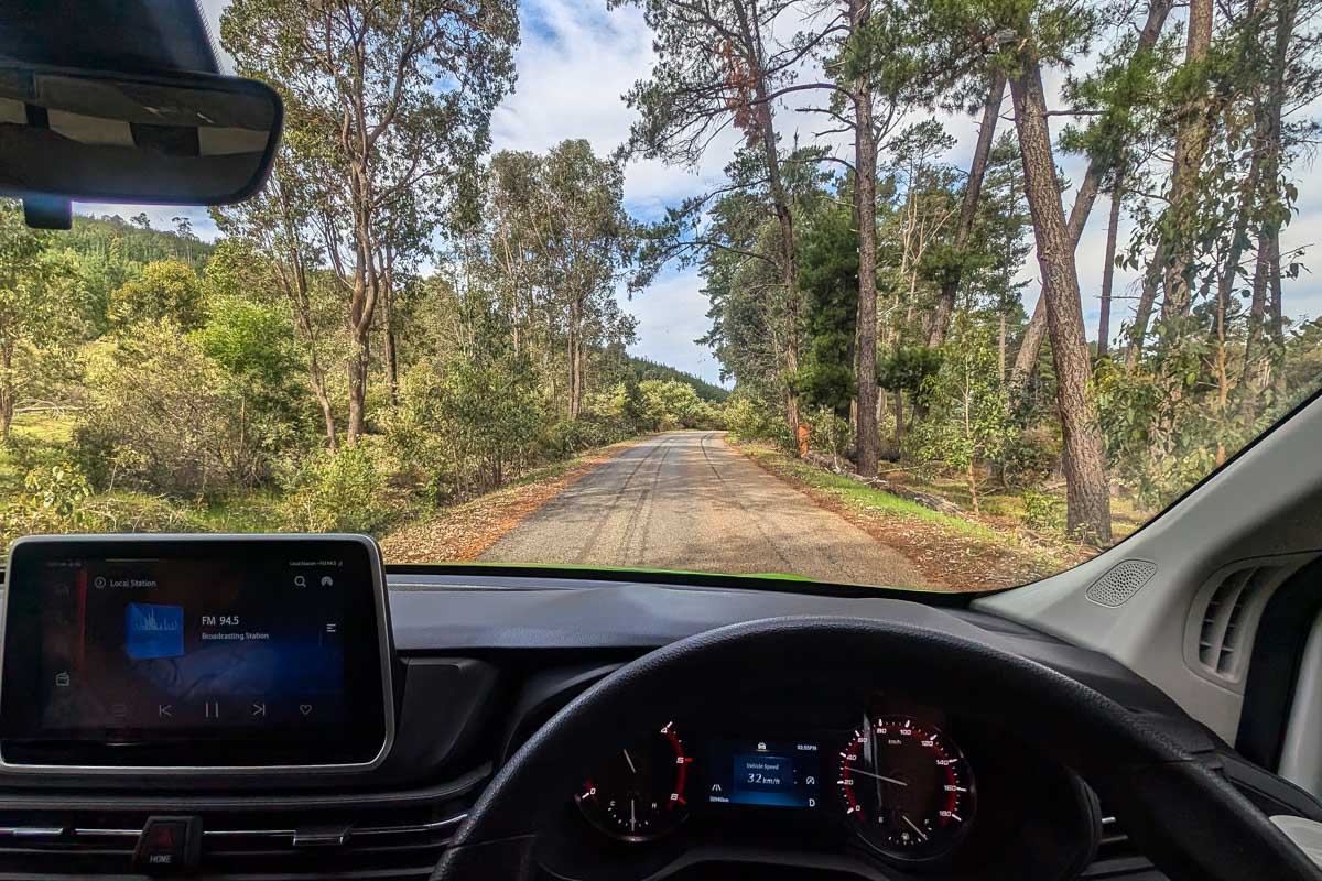 A drivers wheel and the road going through the forest in a JUCY campervan in Australia