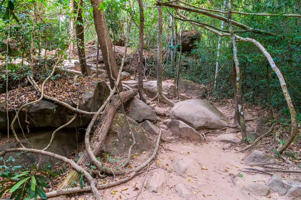 A trail in Kulen National Park near Siem Reap Cambodia