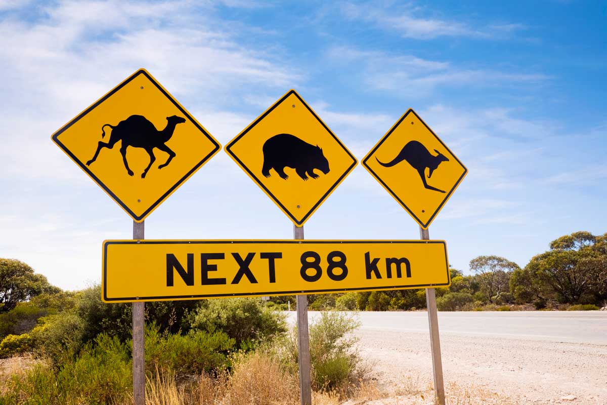 Animal warning sign Australia