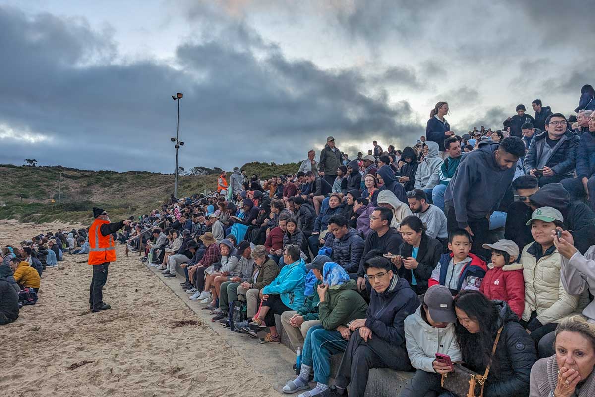 A guide talks to a large group of people on the beach on Phillip Island Australia
