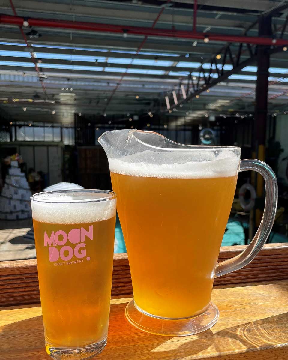 Moon Dog World pitcher of beer Melbourne Australia