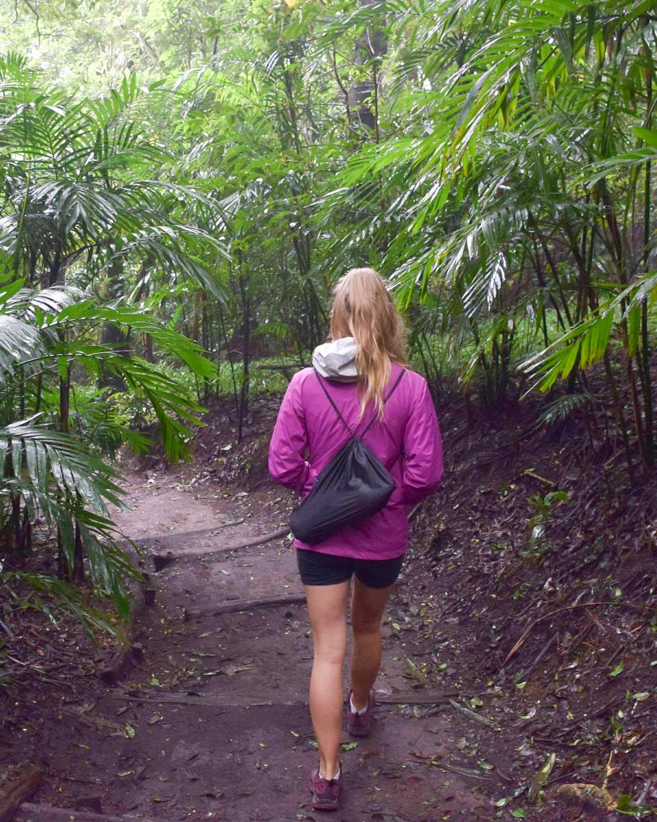 Bailey hiking through the forest on the way to La Chorrera waterfall