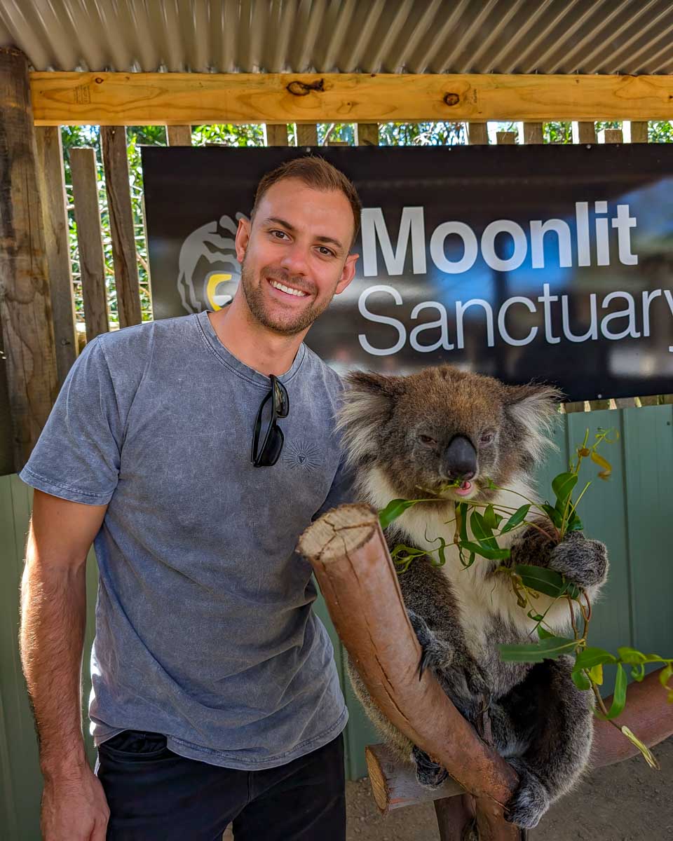 Daniel-smiles-with-a-koala-at-the-moonlit-sanctuary-on-phillip-island-during-a-tour-near-melbourne-australia