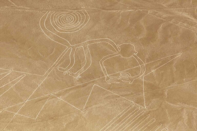 Nazca Lines in Peru seen from plane the monkey