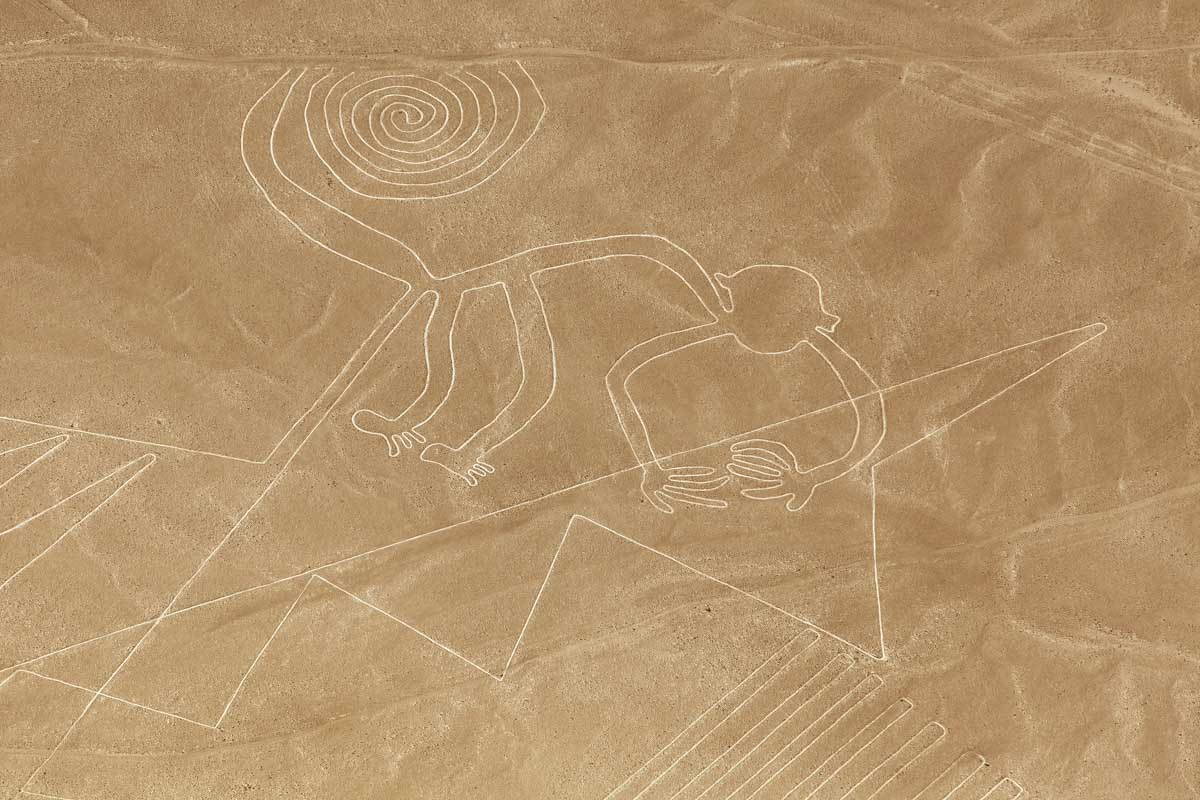Nazca Lines in Peru seen from plane the monkey