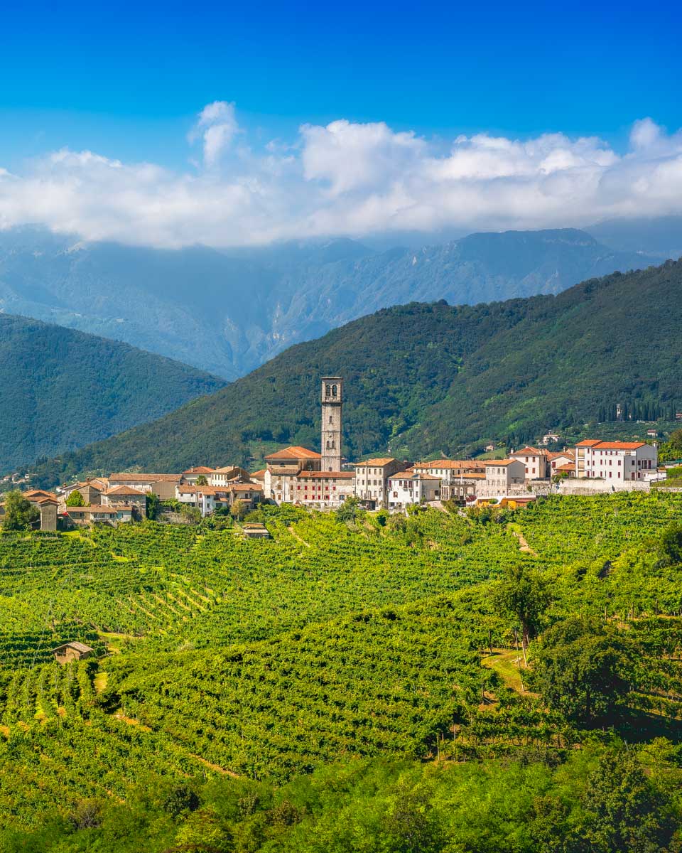 Prosecco hills near Venice Italy