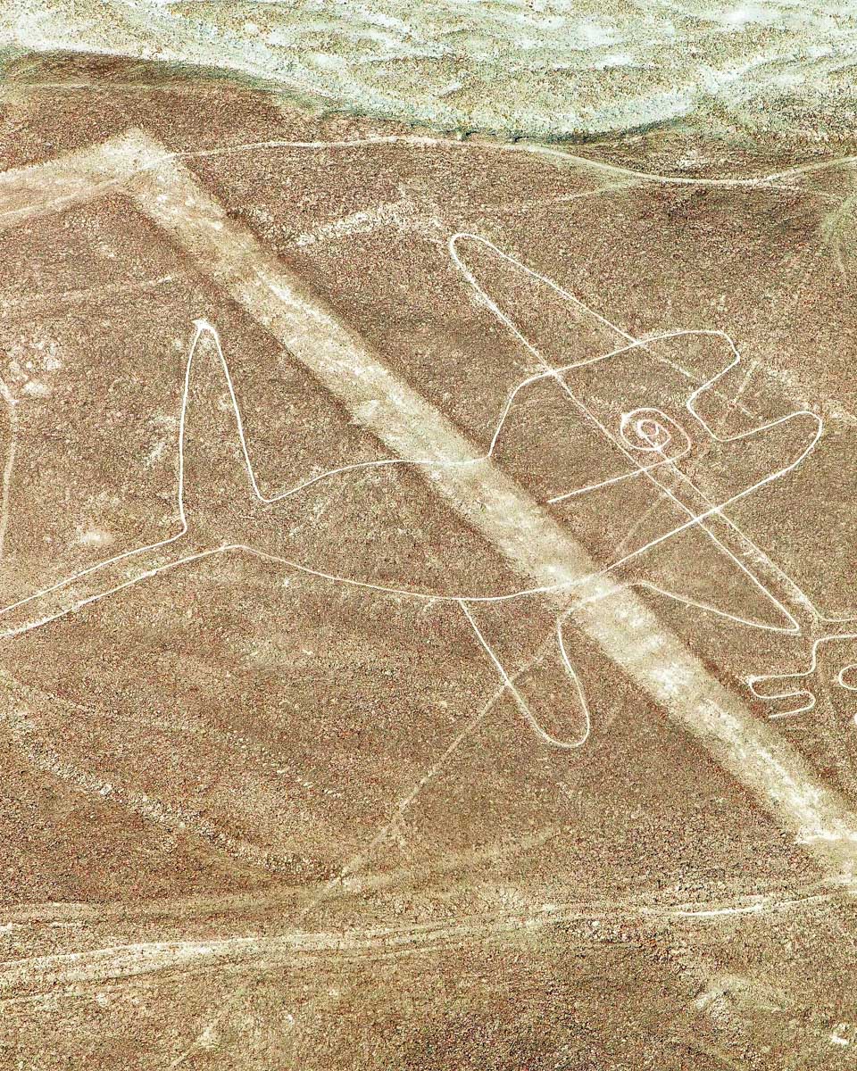 The whale Nazca Lines in Peru seen from plane