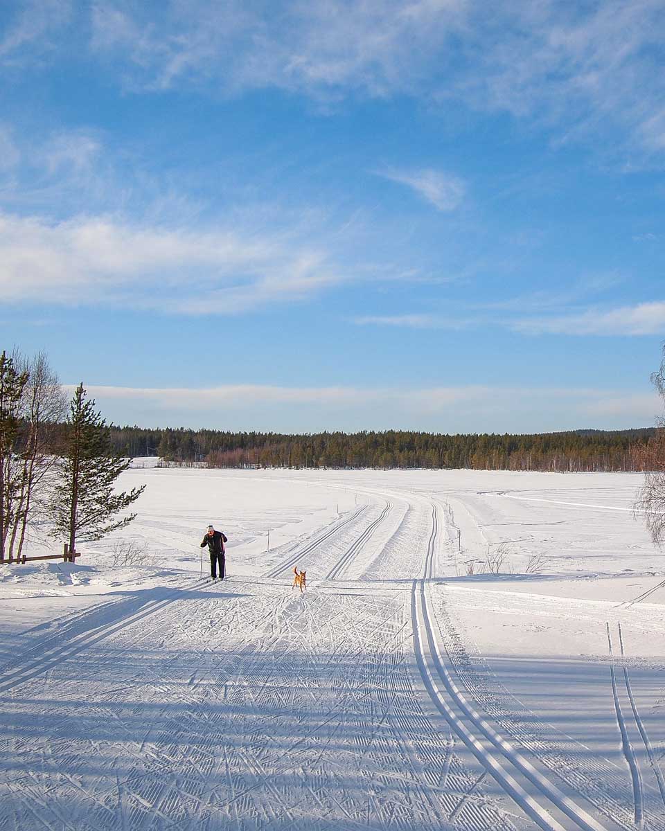 A person cross country skis in Tromso Norway