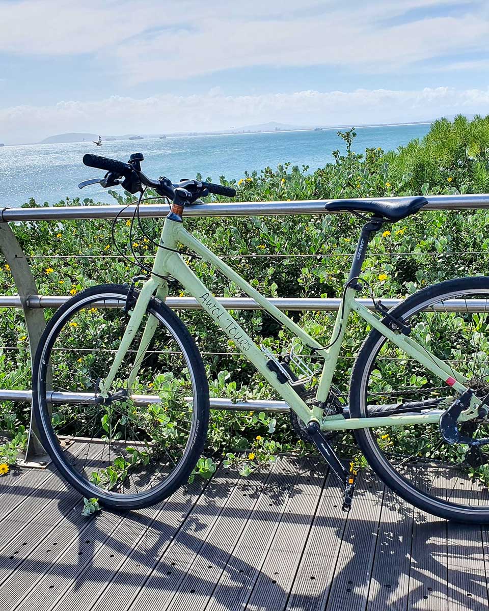 AWOL Tours bike tour in Cape Town South Africa