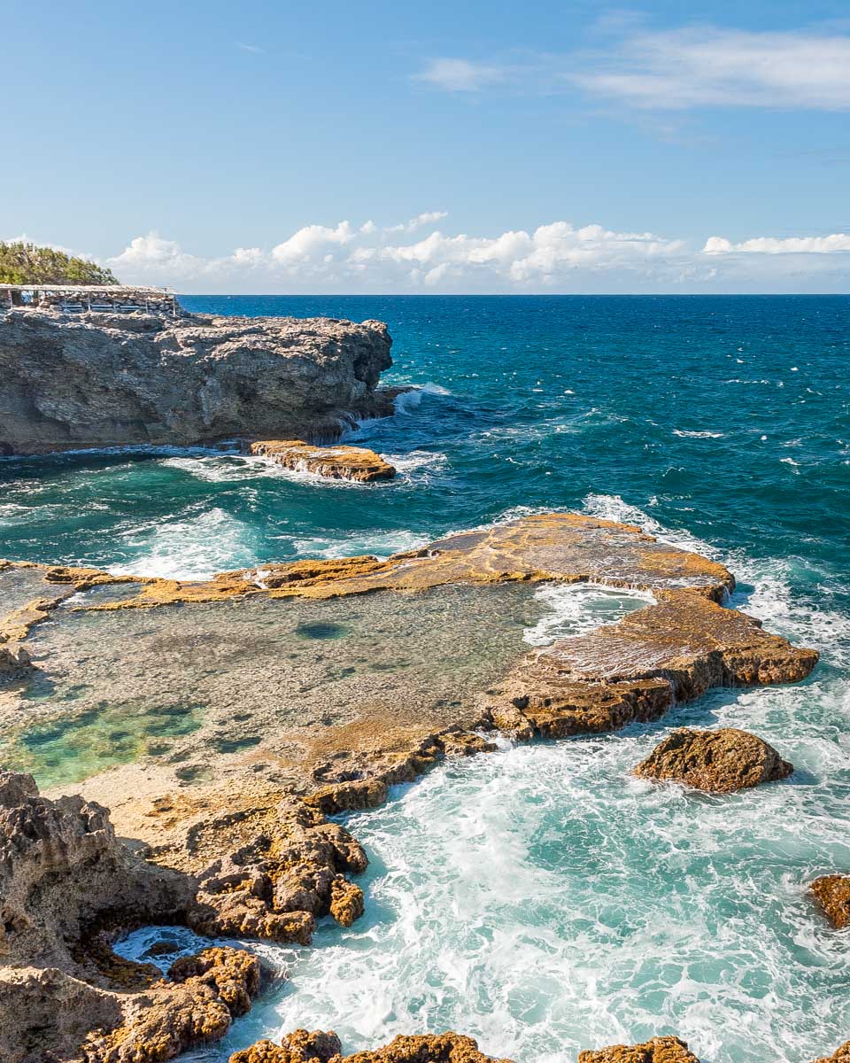 Coastline near Animal Flower Cave near Barbados
