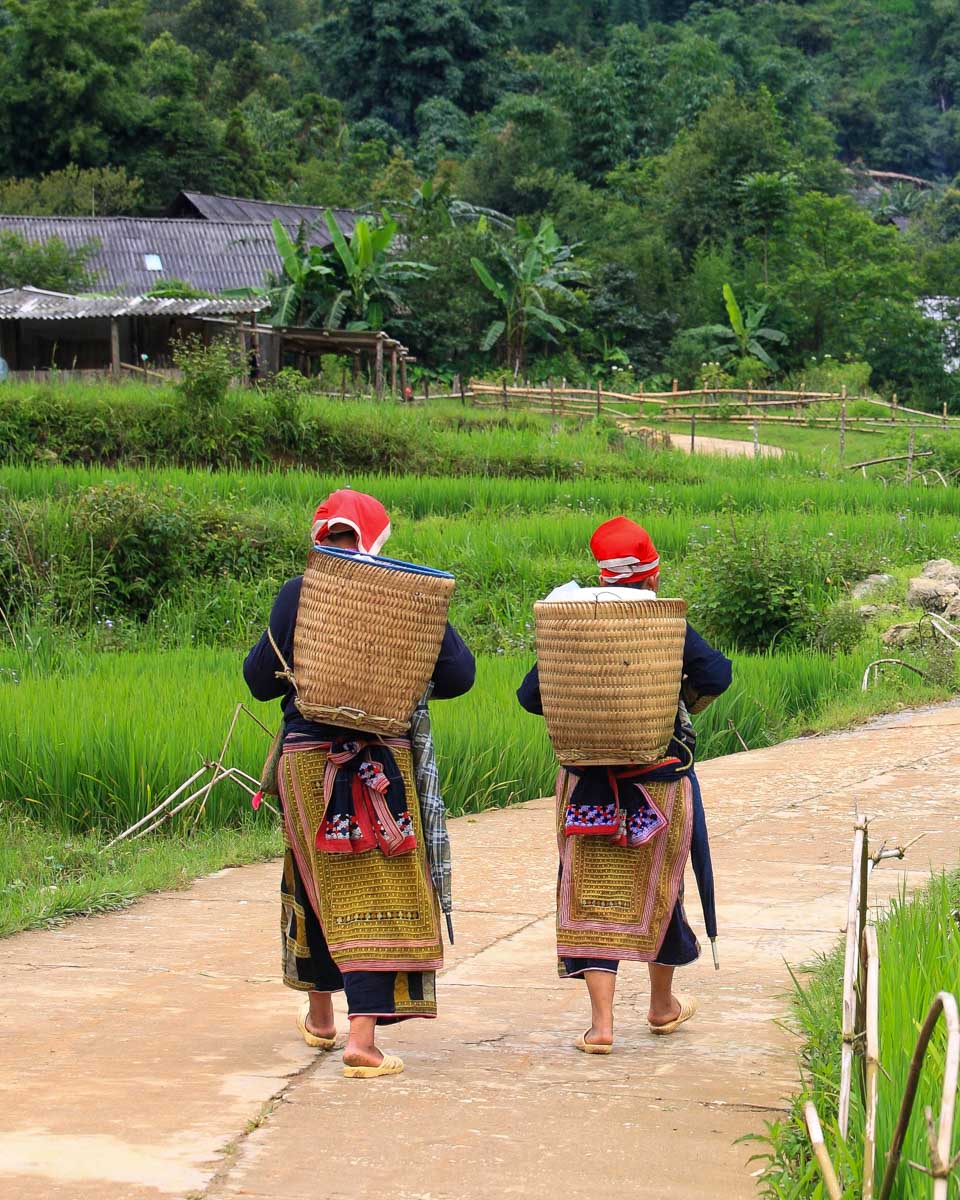 Two local women walk in the hills of Sapa on a hiking tour from Hanoi Vietnam
