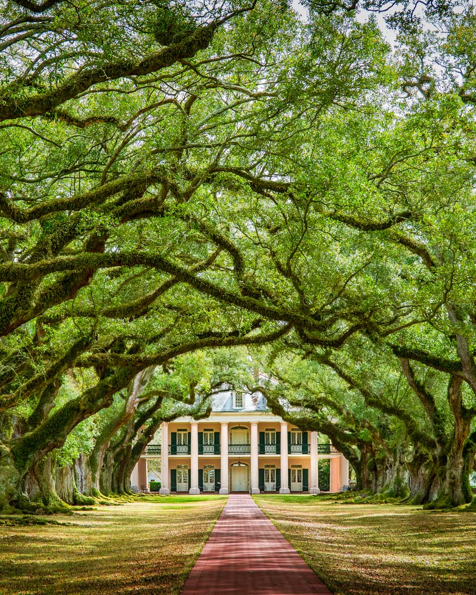 View of the Oak Alley Plantation near New Orleans Louisiana