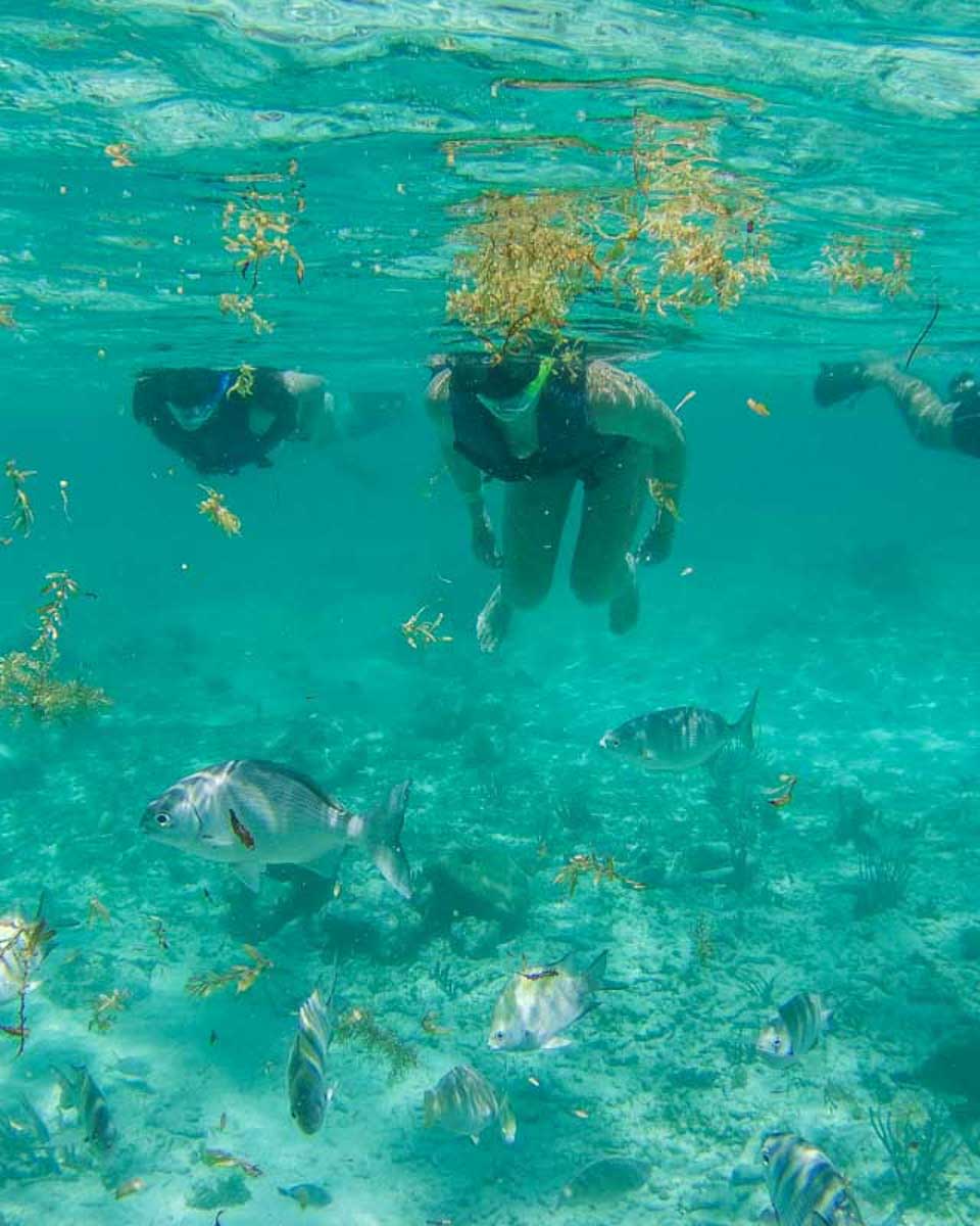 A-group-of-people-snorkel-near-Koh Samui Thailand