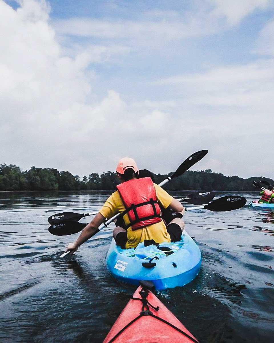 Asian Detours a man kayaks in mangroves on a tour from Singapore