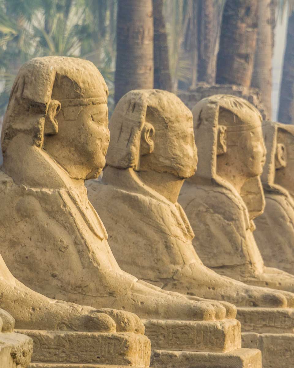 Avenue of the Sphnixs, Luxor Temple, in Luxor Egypt