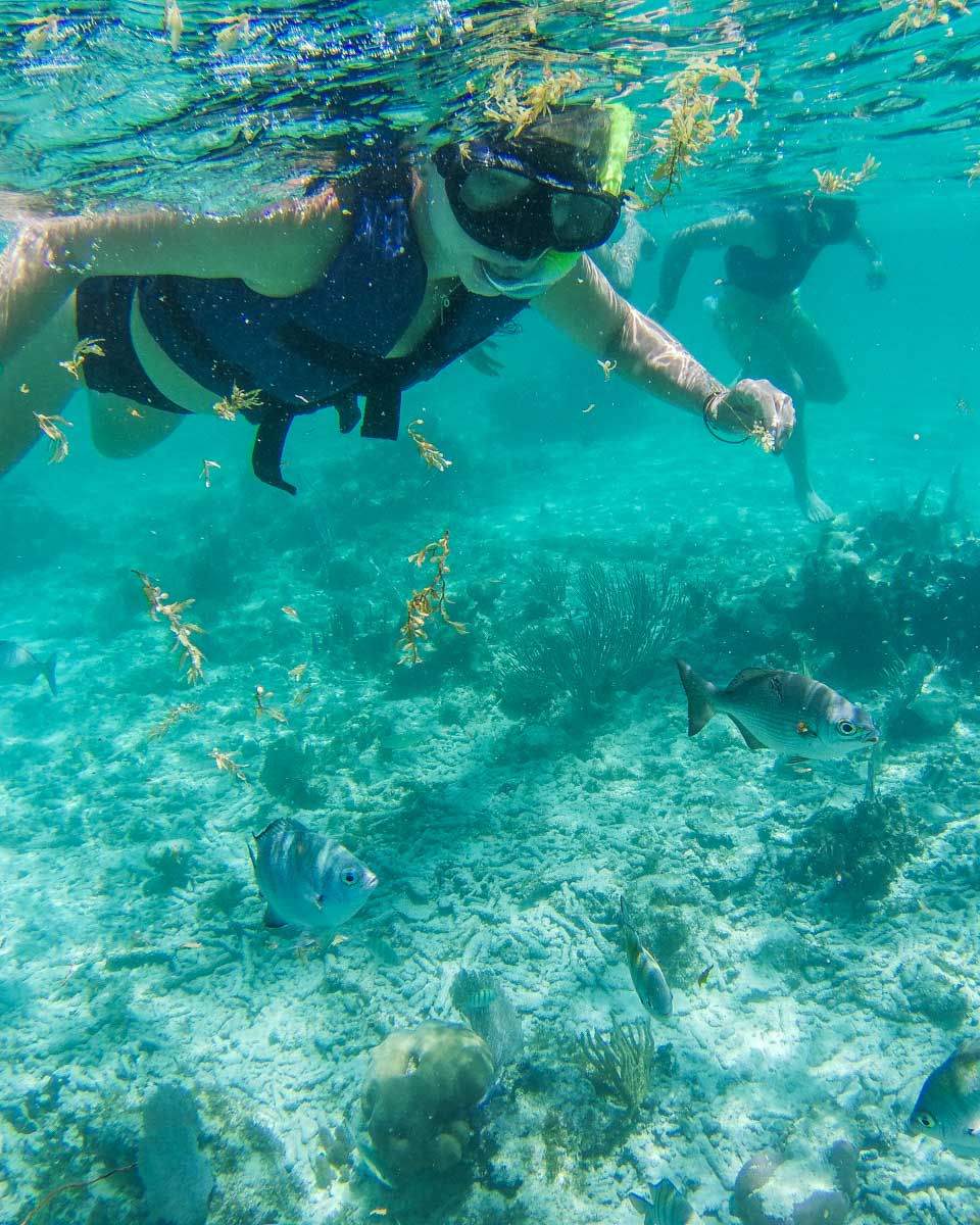 Bailey-snorkeling-on-a-tour-in-Nassau Bahamas